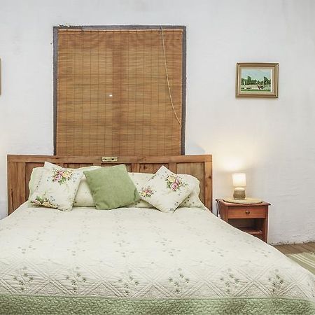 La Casa De Adobe Natural Y Mas Bulnes ภายนอก รูปภาพ