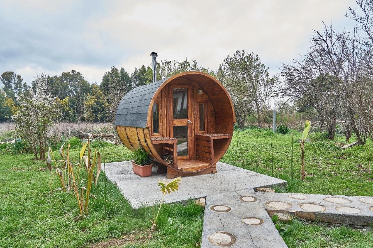 La Casa De Adobe Natural Y Mas Bulnes ภายนอก รูปภาพ