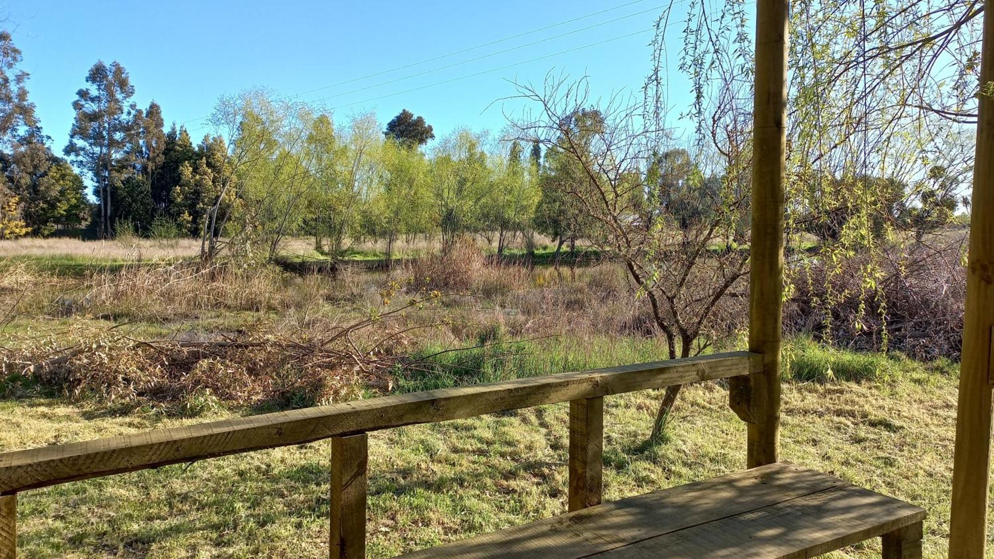 La Casa De Adobe Natural Y Mas Bulnes ภายนอก รูปภาพ